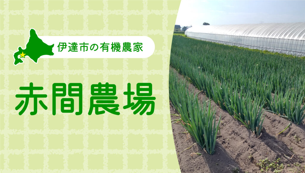 伊達市の「赤間農場」さんを紹介｜北海道の有機農家