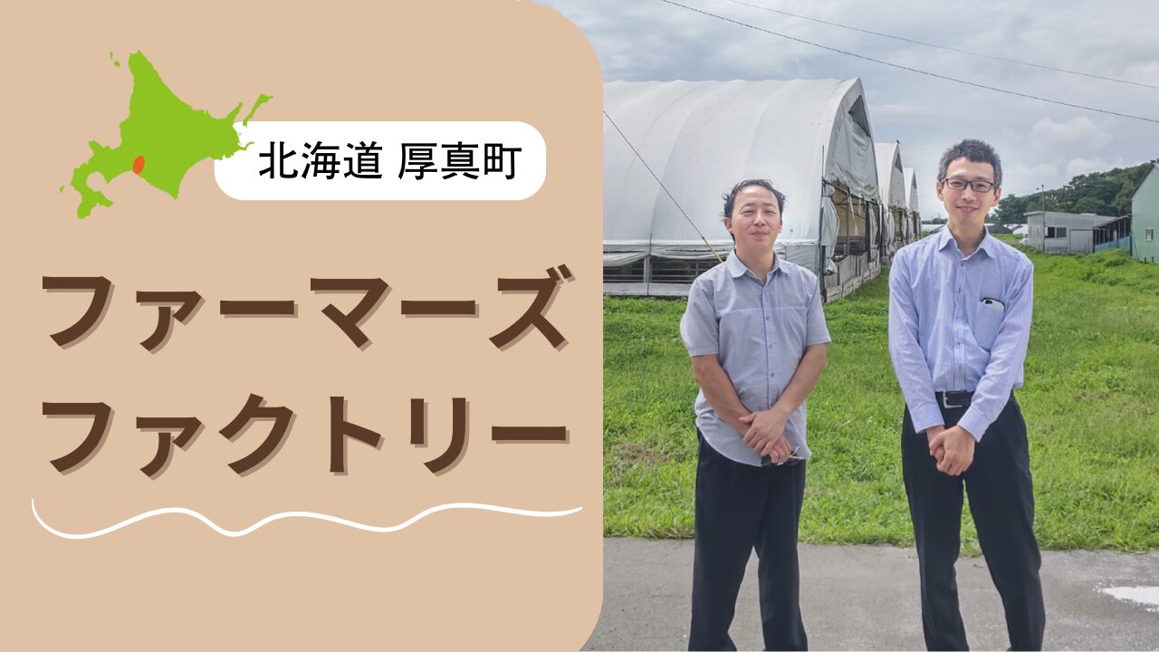 北海道厚真町のファーマーズファクトリーを紹介｜遺伝子組換え・抗生物質・合成添加物の不使用にこだわる放牧豚