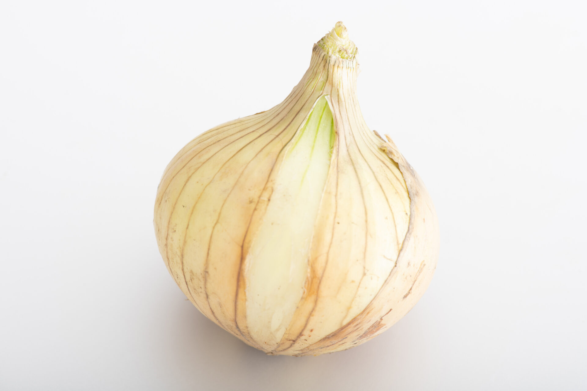 らる畑3月のおすすめ 新玉ねぎ