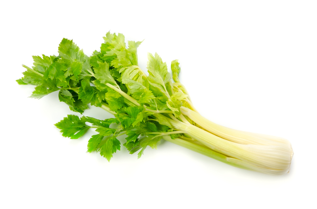 らる畑1月のおすすめ 化学肥料不使用