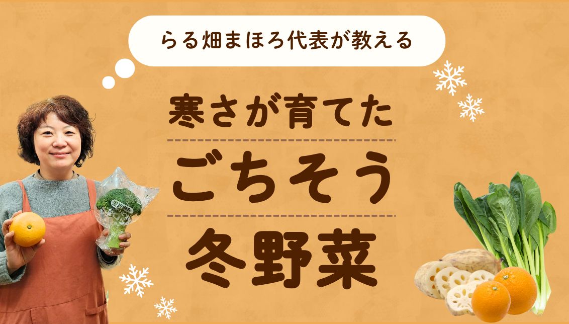 らる畑まほろ代表が教えるおすすめ冬野菜と選び方を解説