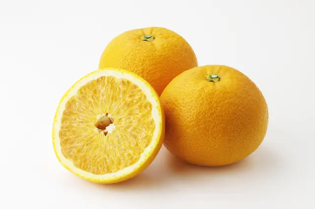 らる畑2月のおすすめ 八朔（熊本県産）
